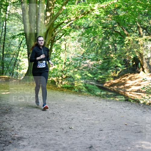 28.09.2025 - 33. Volkslauf durch das schöne Alstertal Dr. Thomas Lammeyer http://msf.ph/oto/8959221 28.09.2025 10:53:38 Laufen 3204 meine-sportfotos.de