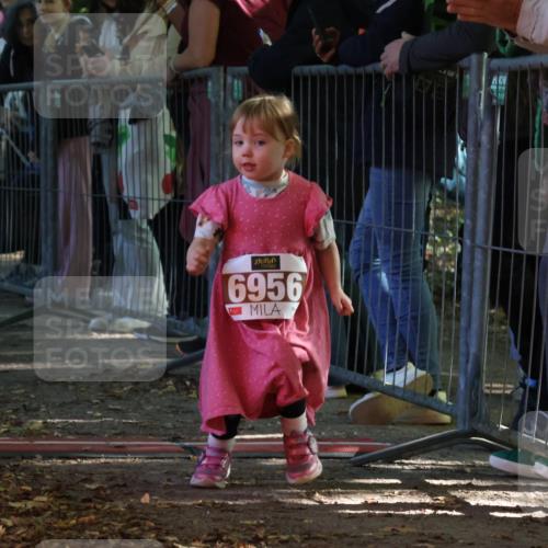 28.09.2025 - 33. Volkslauf durch das schöne Alstertal Strokosch-Dieckow http://msf.ph/oto/8959223 28.09.2025 10:43:50 Ziel  meine-sportfotos.de