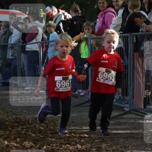 28.09.2025 - 33. Volkslauf durch das schöne Alstertal Strokosch-Dieckow http://msf.ph/oto/8959244 28.09.2025 10:43:57 Ziel  meine-sportfotos.de