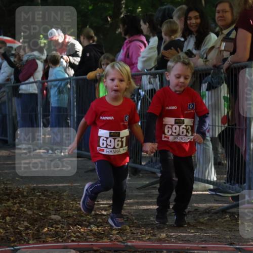 28.09.2025 - 33. Volkslauf durch das schöne Alstertal Strokosch-Dieckow http://msf.ph/oto/8959246 28.09.2025 10:43:57 Ziel  meine-sportfotos.de