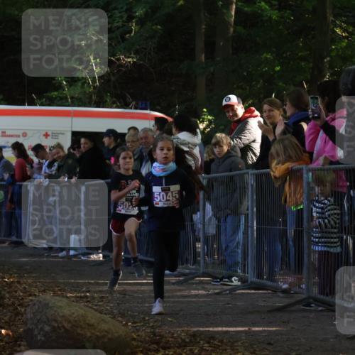 28.09.2025 - 33. Volkslauf durch das schöne Alstertal Strokosch-Dieckow http://msf.ph/oto/8959304 28.09.2025 10:44:47 Ziel 5025, 5045 meine-sportfotos.de