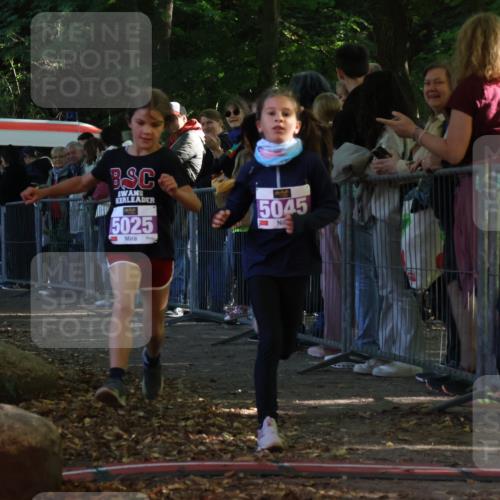 28.09.2025 - 33. Volkslauf durch das schöne Alstertal Strokosch-Dieckow http://msf.ph/oto/8959309 28.09.2025 10:44:49 Ziel 5025, 5045 meine-sportfotos.de