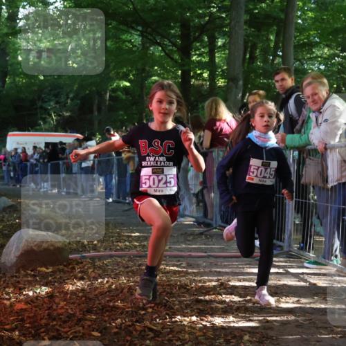 28.09.2025 - 33. Volkslauf durch das schöne Alstertal Strokosch-Dieckow http://msf.ph/oto/8959315 28.09.2025 10:44:50 Ziel 5025, 5045 meine-sportfotos.de