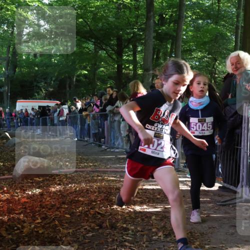 28.09.2025 - 33. Volkslauf durch das schöne Alstertal Strokosch-Dieckow http://msf.ph/oto/8959318 28.09.2025 10:44:50 Ziel 5025, 5045 meine-sportfotos.de