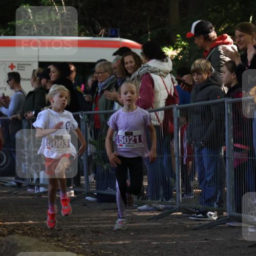 28.09.2025 - 33. Volkslauf durch das schöne Alstertal Strokosch-Dieckow http://msf.ph/oto/8959321 28.09.2025 10:45:05 Ziel 5003, 5021, 5046 meine-sportfotos.de