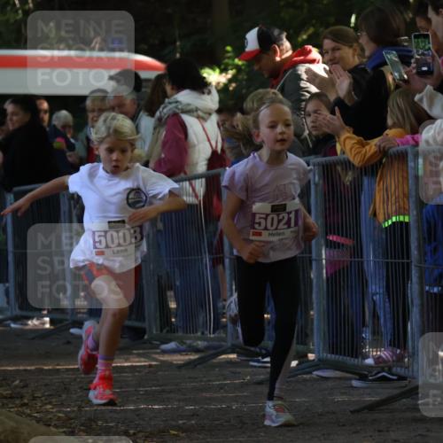 28.09.2025 - 33. Volkslauf durch das schöne Alstertal Strokosch-Dieckow http://msf.ph/oto/8959323 28.09.2025 10:45:06 Ziel 5003, 5021, 5046 meine-sportfotos.de