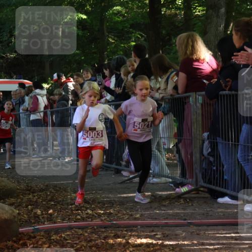 28.09.2025 - 33. Volkslauf durch das schöne Alstertal Strokosch-Dieckow http://msf.ph/oto/8959327 28.09.2025 10:45:07 Ziel 5003, 5021, 5046 meine-sportfotos.de