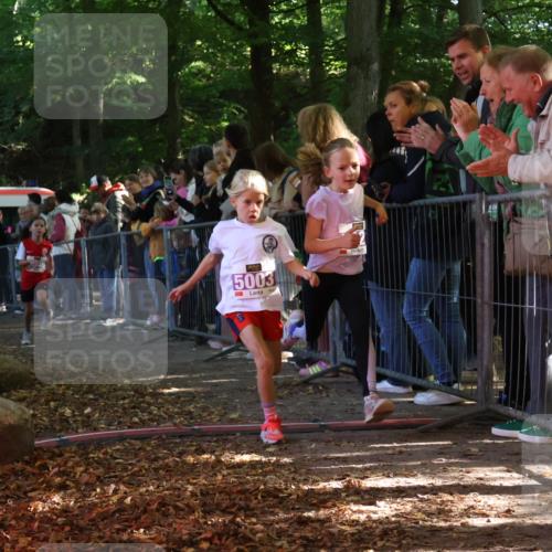 28.09.2025 - 33. Volkslauf durch das schöne Alstertal Strokosch-Dieckow http://msf.ph/oto/8959329 28.09.2025 10:45:07 Ziel 5003, 5021, 5046 meine-sportfotos.de