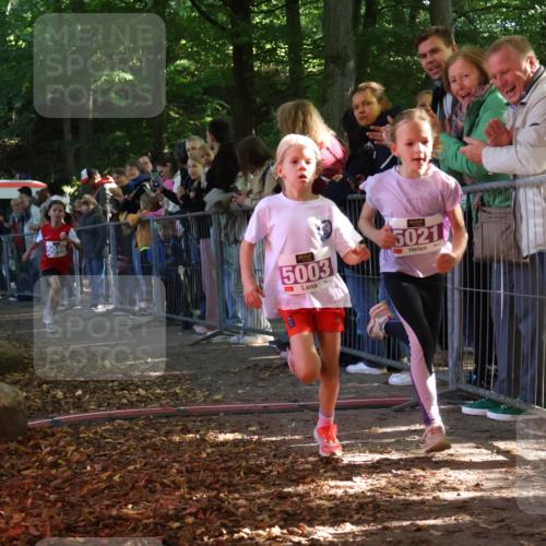 28.09.2025 - 33. Volkslauf durch das schöne Alstertal Strokosch-Dieckow http://msf.ph/oto/8959331 28.09.2025 10:45:08 Ziel 5003, 5021, 5046 meine-sportfotos.de