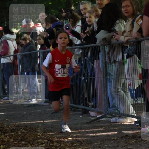 28.09.2025 - 33. Volkslauf durch das schöne Alstertal Strokosch-Dieckow http://msf.ph/oto/8959333 28.09.2025 10:45:09 Ziel 5003, 5021, 5022, 5046 meine-sportfotos.de