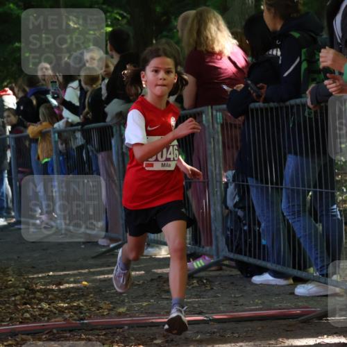 28.09.2025 - 33. Volkslauf durch das schöne Alstertal Strokosch-Dieckow http://msf.ph/oto/8959340 28.09.2025 10:45:10 Ziel 5022, 5046 meine-sportfotos.de