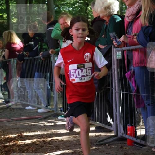 28.09.2025 - 33. Volkslauf durch das schöne Alstertal Strokosch-Dieckow http://msf.ph/oto/8959345 28.09.2025 10:45:11 Ziel 5022, 5046 meine-sportfotos.de