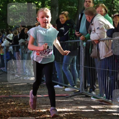 28.09.2025 - 33. Volkslauf durch das schöne Alstertal Strokosch-Dieckow http://msf.ph/oto/8959352 28.09.2025 10:45:18 Ziel 5001, 5022 meine-sportfotos.de