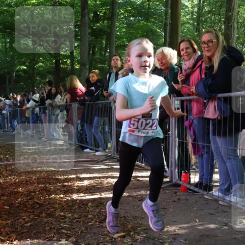 28.09.2025 - 33. Volkslauf durch das schöne Alstertal Strokosch-Dieckow http://msf.ph/oto/8959354 28.09.2025 10:45:19 Ziel 5001, 5022 meine-sportfotos.de