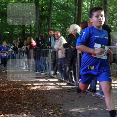 28.09.2025 - 33. Volkslauf durch das schöne Alstertal Strokosch-Dieckow http://msf.ph/oto/8959372 28.09.2025 10:45:27 Ziel 5001, 5030, 5044 meine-sportfotos.de