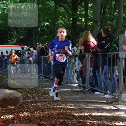 28.09.2025 - 33. Volkslauf durch das schöne Alstertal Strokosch-Dieckow http://msf.ph/oto/8959375 28.09.2025 10:45:28 Ziel 5001, 5002, 5030, 5044 meine-sportfotos.de