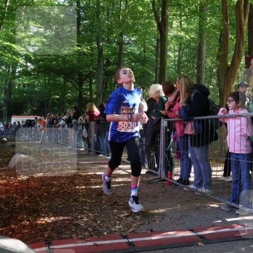28.09.2025 - 33. Volkslauf durch das schöne Alstertal Strokosch-Dieckow http://msf.ph/oto/8959381 28.09.2025 10:45:29 Ziel 5002, 5030, 5044 meine-sportfotos.de
