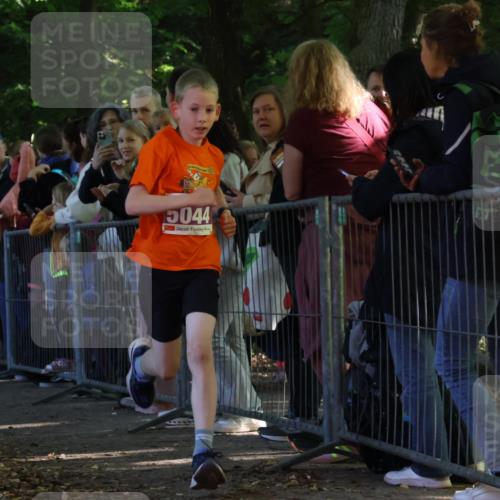 28.09.2025 - 33. Volkslauf durch das schöne Alstertal Strokosch-Dieckow http://msf.ph/oto/8959384 28.09.2025 10:45:31 Ziel 5002, 5044 meine-sportfotos.de