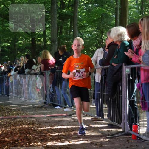 28.09.2025 - 33. Volkslauf durch das schöne Alstertal Strokosch-Dieckow http://msf.ph/oto/8959390 28.09.2025 10:45:32 Ziel 5002, 5044 meine-sportfotos.de