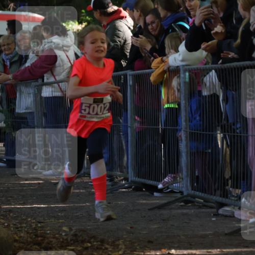 28.09.2025 - 33. Volkslauf durch das schöne Alstertal Strokosch-Dieckow http://msf.ph/oto/8959397 28.09.2025 10:45:35 Ziel 5002, 5039 meine-sportfotos.de