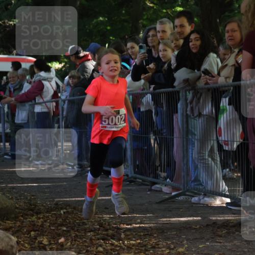 28.09.2025 - 33. Volkslauf durch das schöne Alstertal Strokosch-Dieckow http://msf.ph/oto/8959400 28.09.2025 10:45:36 Ziel 5002, 5039 meine-sportfotos.de