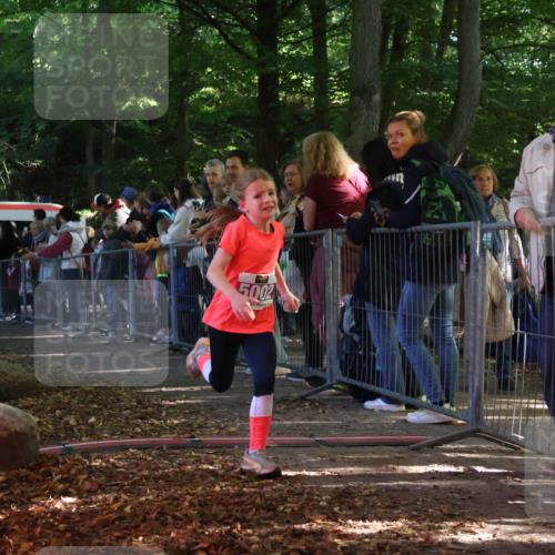 28.09.2025 - 33. Volkslauf durch das schöne Alstertal Strokosch-Dieckow http://msf.ph/oto/8959406 28.09.2025 10:45:37 Ziel 5002, 5039 meine-sportfotos.de