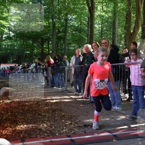 28.09.2025 - 33. Volkslauf durch das schöne Alstertal Strokosch-Dieckow http://msf.ph/oto/8959414 28.09.2025 10:45:38 Ziel 5002, 5039 meine-sportfotos.de