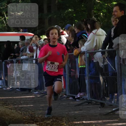 28.09.2025 - 33. Volkslauf durch das schöne Alstertal Strokosch-Dieckow http://msf.ph/oto/8959419 28.09.2025 10:45:41 Ziel 5033, 5039 meine-sportfotos.de
