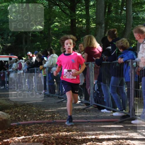 28.09.2025 - 33. Volkslauf durch das schöne Alstertal Strokosch-Dieckow http://msf.ph/oto/8959424 28.09.2025 10:45:42 Ziel 5033, 5039 meine-sportfotos.de