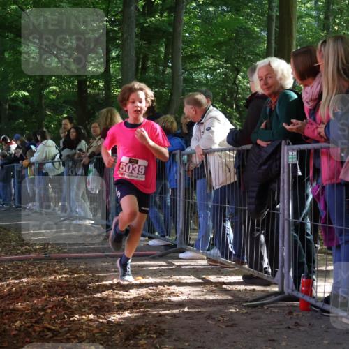 28.09.2025 - 33. Volkslauf durch das schöne Alstertal Strokosch-Dieckow http://msf.ph/oto/8959427 28.09.2025 10:45:43 Ziel 5033, 5039 meine-sportfotos.de