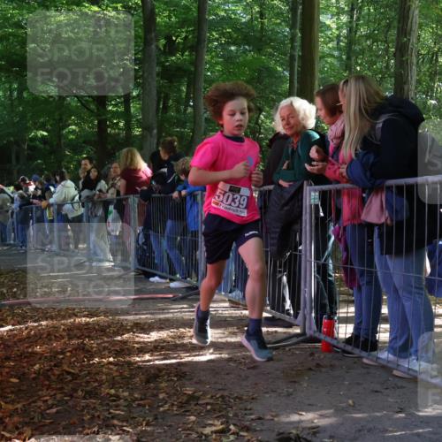 28.09.2025 - 33. Volkslauf durch das schöne Alstertal Strokosch-Dieckow http://msf.ph/oto/8959429 28.09.2025 10:45:43 Ziel 5033, 5039 meine-sportfotos.de