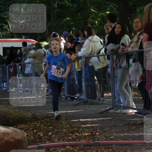 28.09.2025 - 33. Volkslauf durch das schöne Alstertal Strokosch-Dieckow http://msf.ph/oto/8959435 28.09.2025 10:45:47 Ziel 5015, 5027, 5033 meine-sportfotos.de