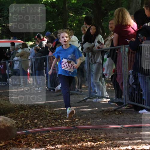 28.09.2025 - 33. Volkslauf durch das schöne Alstertal Strokosch-Dieckow http://msf.ph/oto/8959437 28.09.2025 10:45:48 Ziel 5015, 5016, 5027, 5033 meine-sportfotos.de