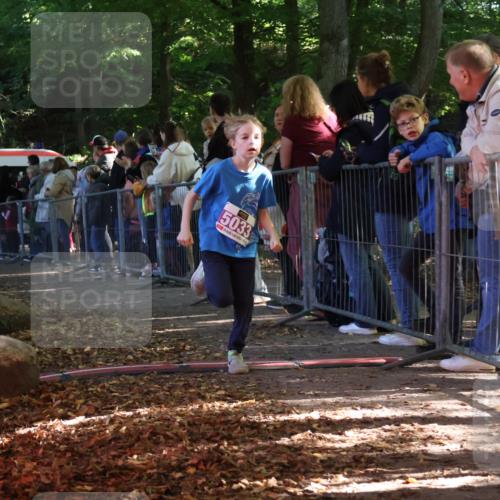 28.09.2025 - 33. Volkslauf durch das schöne Alstertal Strokosch-Dieckow http://msf.ph/oto/8959439 28.09.2025 10:45:48 Ziel 5015, 5016, 5027, 5033 meine-sportfotos.de
