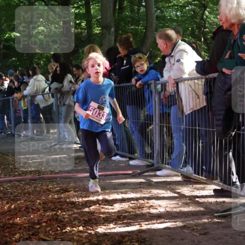 28.09.2025 - 33. Volkslauf durch das schöne Alstertal Strokosch-Dieckow http://msf.ph/oto/8959442 28.09.2025 10:45:48 Ziel 5015, 5016, 5027, 5033 meine-sportfotos.de