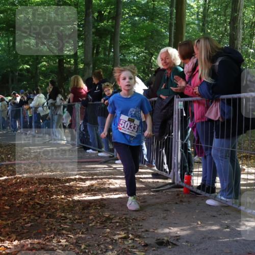28.09.2025 - 33. Volkslauf durch das schöne Alstertal Strokosch-Dieckow http://msf.ph/oto/8959444 28.09.2025 10:45:49 Ziel 5015, 5016, 5027, 5033 meine-sportfotos.de