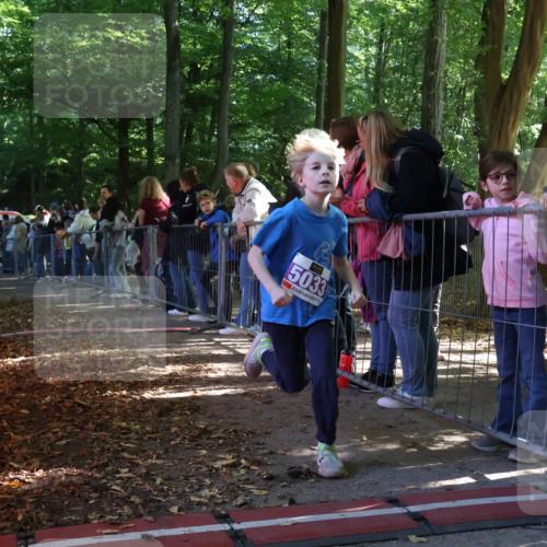 28.09.2025 - 33. Volkslauf durch das schöne Alstertal Strokosch-Dieckow http://msf.ph/oto/8959447 28.09.2025 10:45:49 Ziel 5015, 5016, 5027, 5033 meine-sportfotos.de