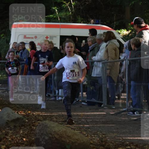 28.09.2025 - 33. Volkslauf durch das schöne Alstertal Strokosch-Dieckow http://msf.ph/oto/8959449 28.09.2025 10:45:51 Ziel 5015, 5016, 5027 meine-sportfotos.de