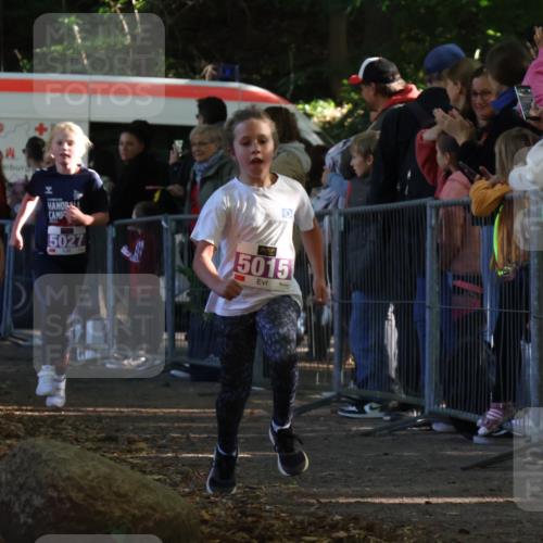 28.09.2025 - 33. Volkslauf durch das schöne Alstertal Strokosch-Dieckow http://msf.ph/oto/8959452 28.09.2025 10:45:51 Ziel 5015, 5016, 5027 meine-sportfotos.de
