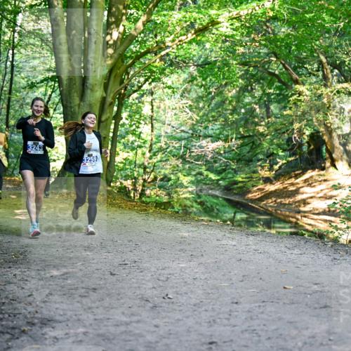 28.09.2025 - 33. Volkslauf durch das schöne Alstertal Dr. Thomas Lammeyer http://msf.ph/oto/8959710 28.09.2025 10:55:36 Laufen 3243, 3259 meine-sportfotos.de