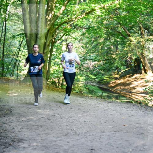 28.09.2025 - 33. Volkslauf durch das schöne Alstertal Dr. Thomas Lammeyer http://msf.ph/oto/8959775 28.09.2025 10:56:21 Laufen 3370, 3165, 3164 meine-sportfotos.de
