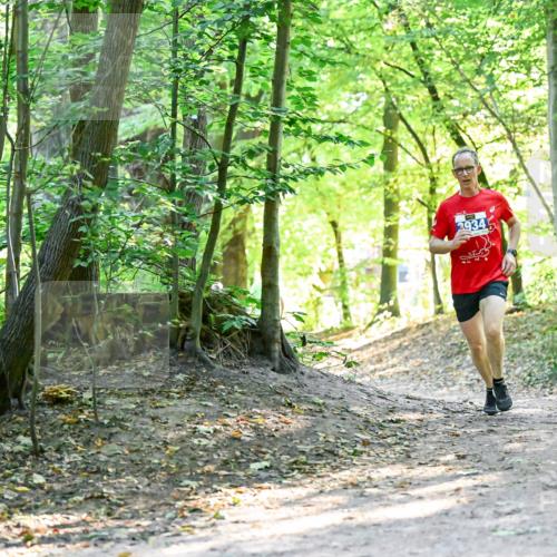 28.09.2025 - 33. Volkslauf durch das schöne Alstertal Dr. Thomas Lammeyer http://msf.ph/oto/8960280 28.09.2025 11:01:14 Laufen 3934 meine-sportfotos.de