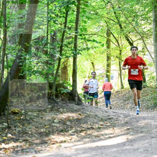 28.09.2025 - 33. Volkslauf durch das schöne Alstertal Dr. Thomas Lammeyer http://msf.ph/oto/8960435 28.09.2025 11:02:46 Laufen 3364 meine-sportfotos.de