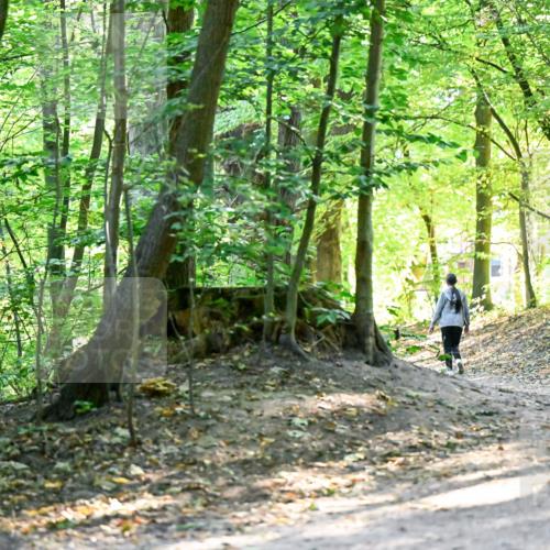 28.09.2025 - 33. Volkslauf durch das schöne Alstertal Dr. Thomas Lammeyer http://msf.ph/oto/8960510 28.09.2025 11:03:03 Laufen 3919 meine-sportfotos.de