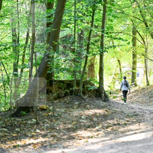 28.09.2025 - 33. Volkslauf durch das schöne Alstertal Dr. Thomas Lammeyer http://msf.ph/oto/8960511 28.09.2025 11:03:03 Laufen  meine-sportfotos.de