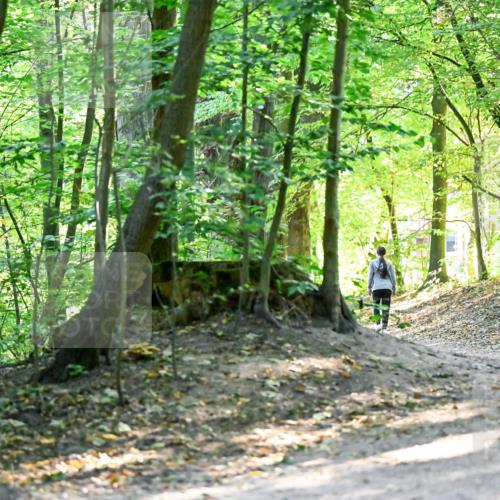 28.09.2025 - 33. Volkslauf durch das schöne Alstertal Dr. Thomas Lammeyer http://msf.ph/oto/8960517 28.09.2025 11:03:05 Laufen 3919 meine-sportfotos.de