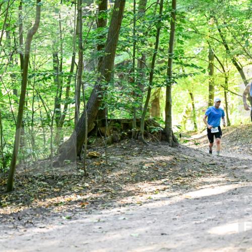 28.09.2025 - 33. Volkslauf durch das schöne Alstertal Dr. Thomas Lammeyer http://msf.ph/oto/8960669 28.09.2025 11:03:56 Laufen 3373, 3375 meine-sportfotos.de