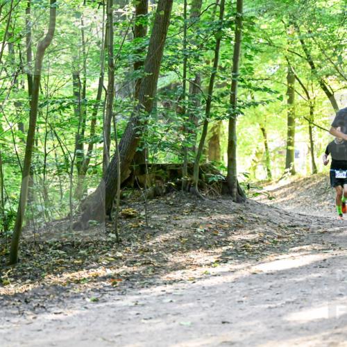 28.09.2025 - 33. Volkslauf durch das schöne Alstertal Dr. Thomas Lammeyer http://msf.ph/oto/8960708 28.09.2025 11:04:12 Laufen 3307 meine-sportfotos.de