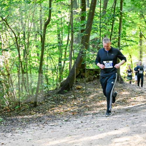 28.09.2025 - 33. Volkslauf durch das schöne Alstertal Dr. Thomas Lammeyer http://msf.ph/oto/8960954 28.09.2025 11:05:51 Laufen 041, 3223 meine-sportfotos.de