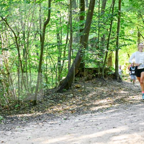 28.09.2025 - 33. Volkslauf durch das schöne Alstertal Dr. Thomas Lammeyer http://msf.ph/oto/8960976 28.09.2025 11:05:54 Laufen 5031, 3030 meine-sportfotos.de